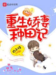 重生军嫂种田记