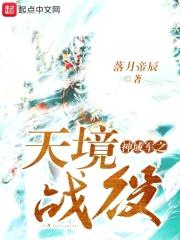 神域军之天境战役