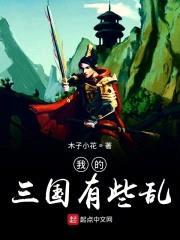 我的三国有些乱