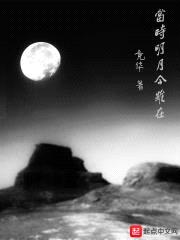 当时明月今虽在