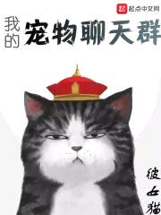 我的宠物聊天群