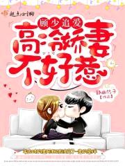 顾少追爱:高冷娇妻不好惹