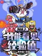 海贼之我能看见经验值