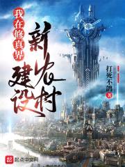 我在修真界建设新农村