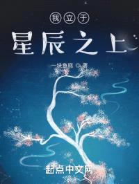 我立于星辰之上