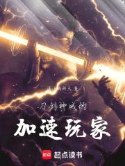 刀剑神域：Ritter