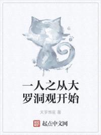 一人之从大罗洞观开始