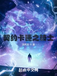 契约卡匣之骑士