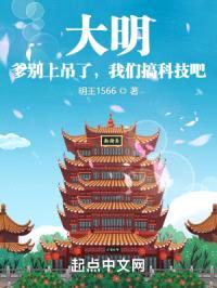 大明：爹别上吊了，我们搞科技吧